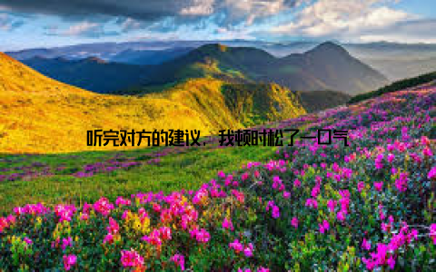 听完对方的建议, 我顿时松了一口气