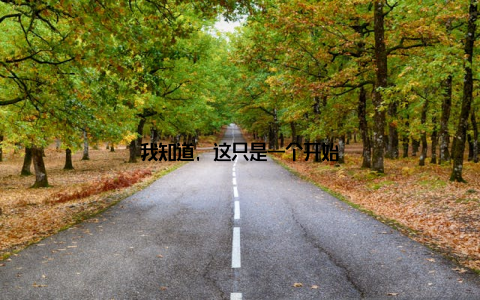 我知道, 这只是一个开始