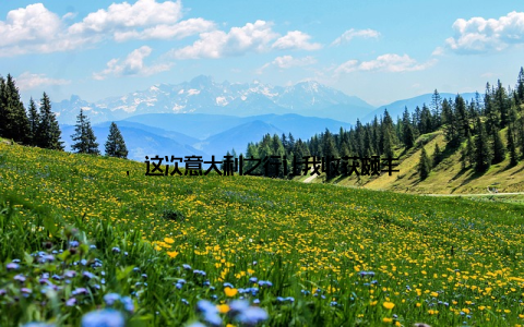 , 这次意大利之行让我收获颇丰