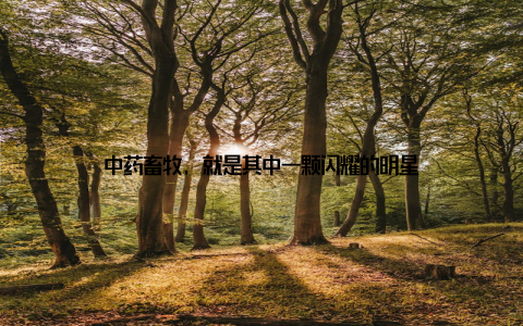 中药畜牧, 就是其中一颗闪耀的明星