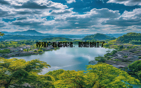 养殖户看着病猪, 眼眶都红了