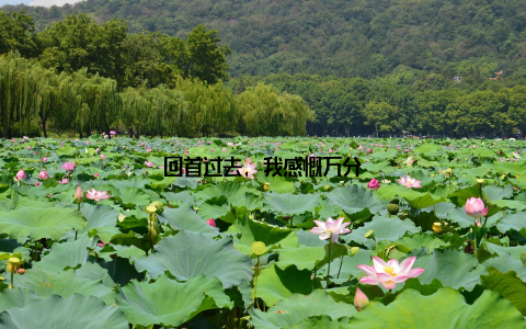 回首过去, 我感慨万分