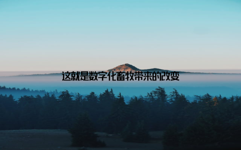 这就是数字化畜牧带来的改变