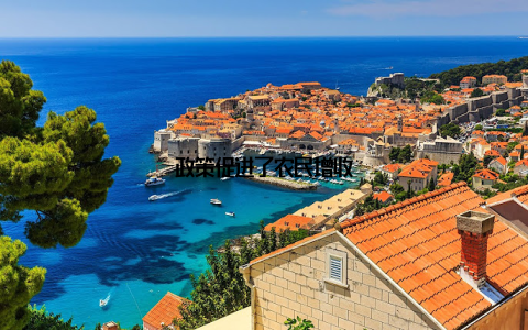 政策促进了农民增收