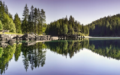 回首过去, 我们感慨万分