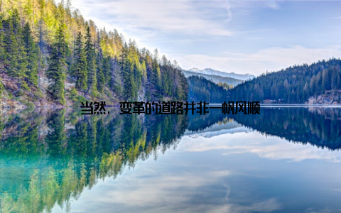 当然, 变革的道路并非一帆风顺