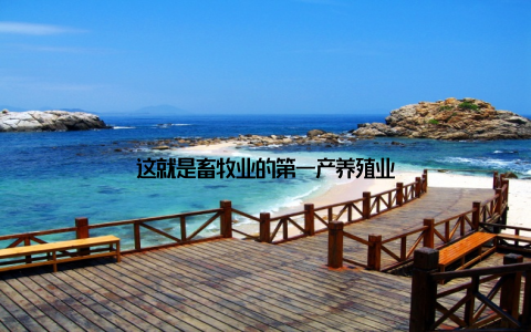 这就是畜牧业的第一产养殖业