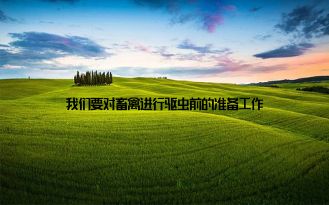 我们要对畜禽进行驱虫前的准备工作