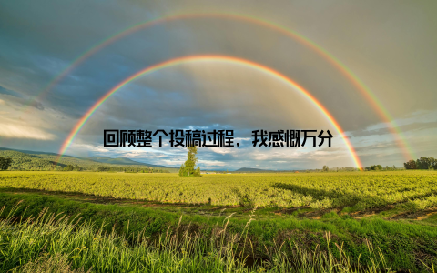 回顾整个投稿过程, 我感慨万分