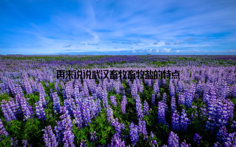 再来说说武汉畜牧畜牧盐的特点