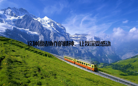 这种团结协作的精神, 让我深受感动