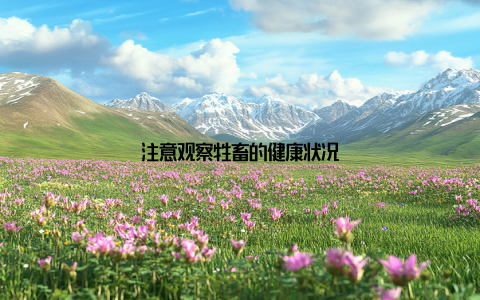 注意观察牲畜的健康状况