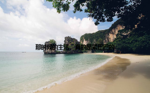 那时候的生活, 真的是紧巴巴的