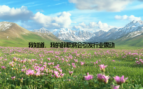 我知道, 我的辞职将会引发行业震动