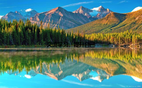 交流学习, 提升自己