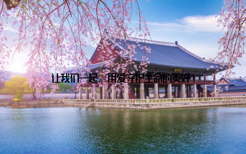 让我们一起, 用爱守护生命的美好!