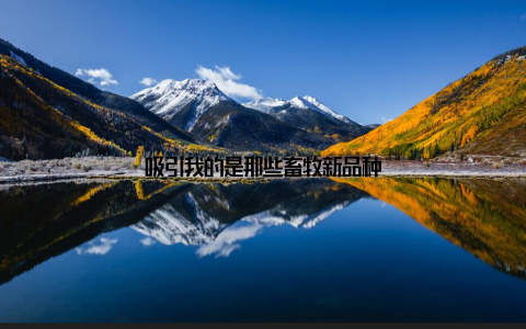 吸引我的是那些畜牧新品种