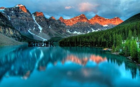 畜牧业增长, 意味着更多的就业机会