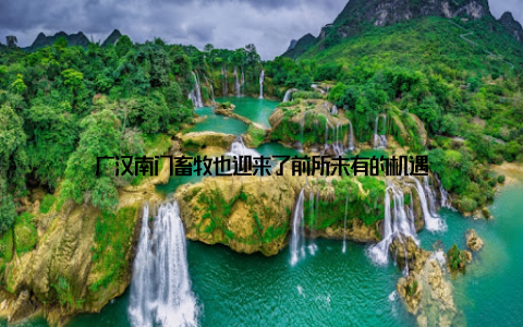 广汉南门畜牧也迎来了前所未有的机遇