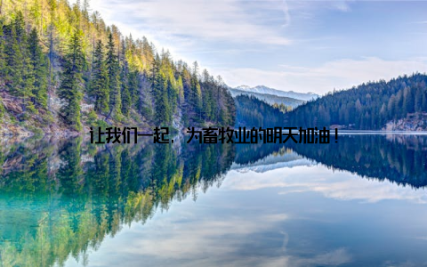 让我们一起, 为畜牧业的明天加油!