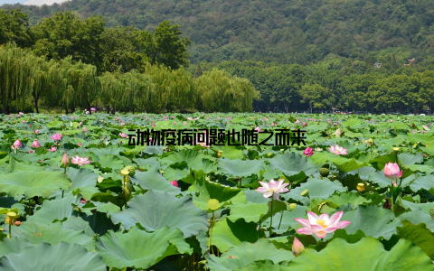 动物疫病问题也随之而来