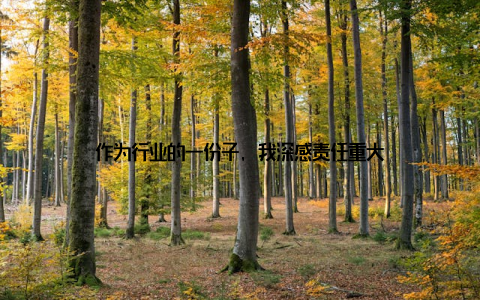 作为行业的一份子, 我深感责任重大