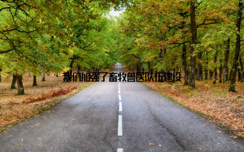 我们加强了畜牧兽医队伍建设