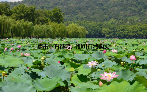 点击下方链接, 即可在线购买