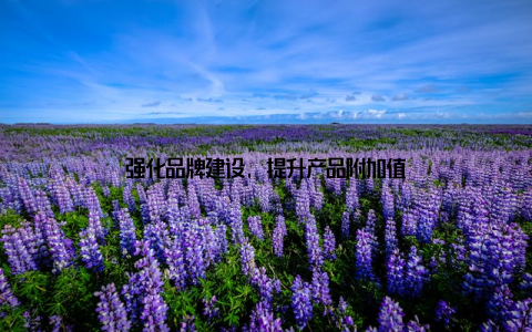 强化品牌建设, 提升产品附加值