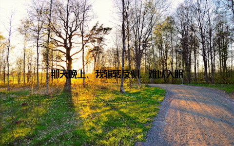 那天晚上, 我辗转反侧, 难以入眠