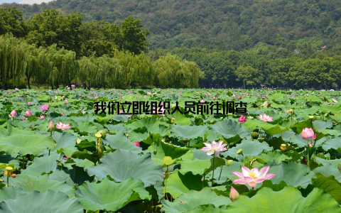 我们立即组织人员前往调查