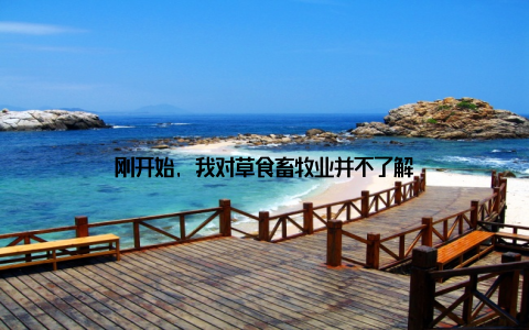 刚开始, 我对草食畜牧业并不了解