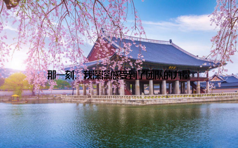 那一刻, 我深深感受到了团队的力量