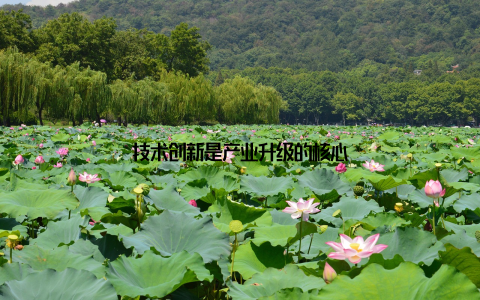 技术创新是产业升级的核心