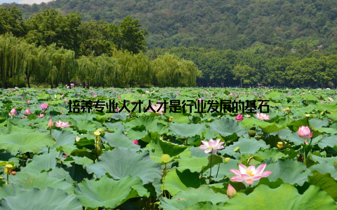 培养专业人才人才是行业发展的基石