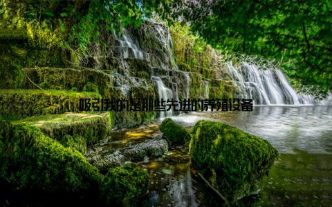 吸引我的是那些先进的养殖设备