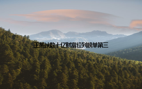 王某以数十亿财富位列榜单第三