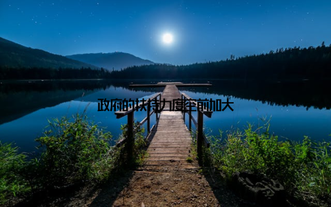 政府的扶持力度空前加大