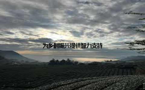 为乡村振兴提供智力支持